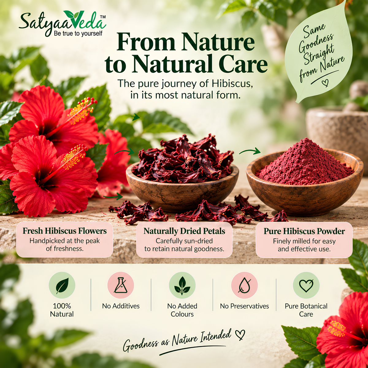 SatyaaVeda Organic Hibiscus Powder | Gudhal Ka Phool For Fuller-Looking Hair & Healthy-Looking Skin | No Chemicals & Preservatives | 100g